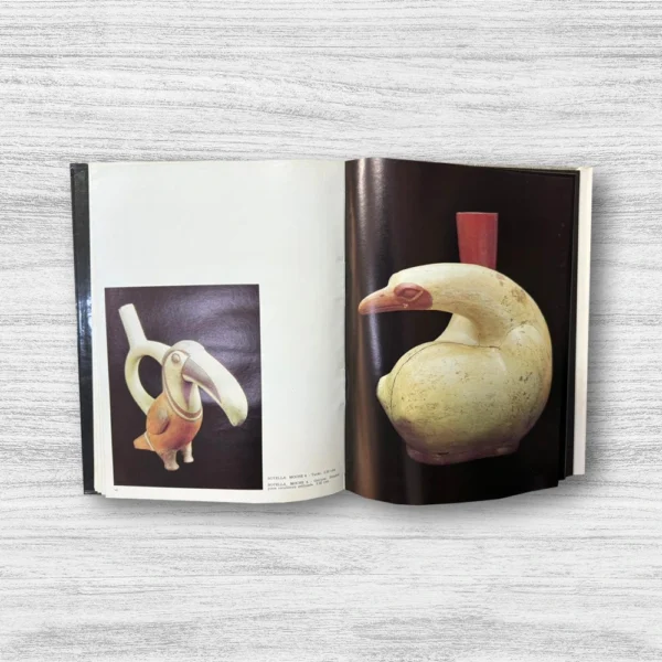 MOCHE - Imagen 3