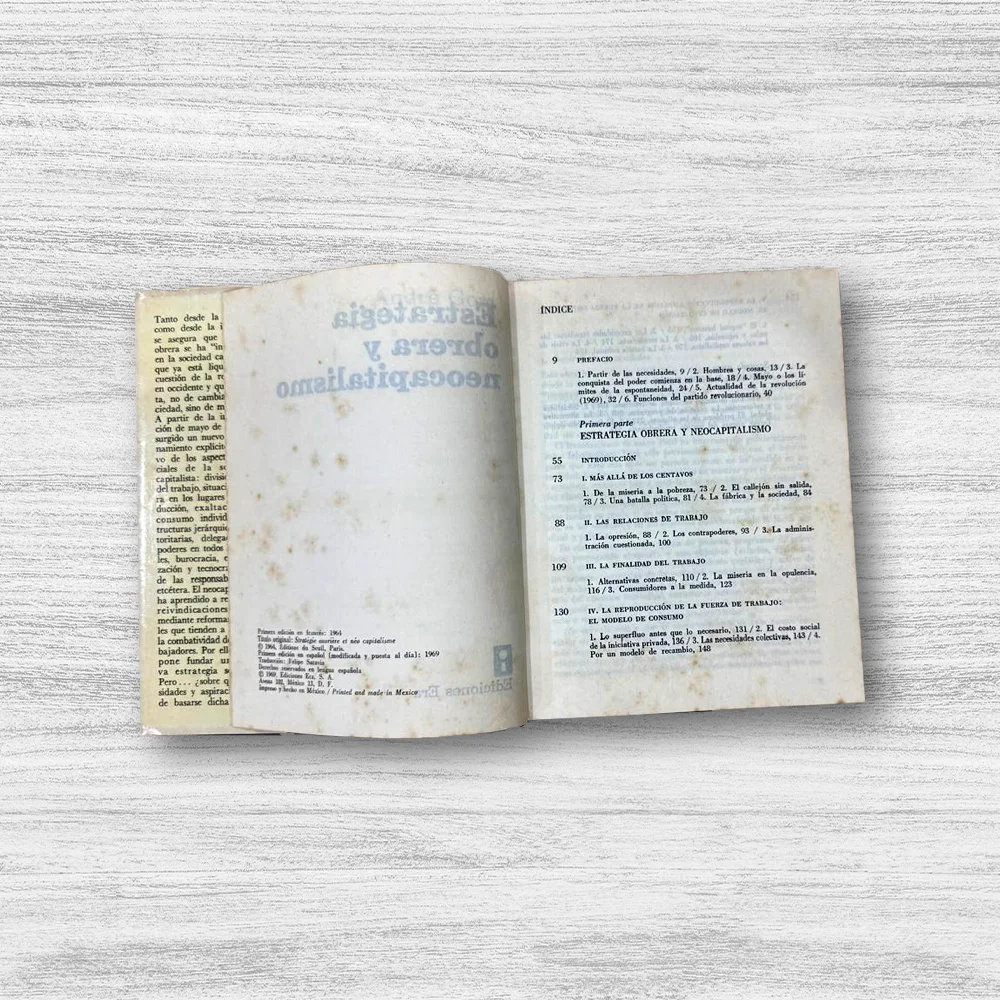 ESTRATEGIA OBRERA Y NEOCAPITALISMO - Imagen 3