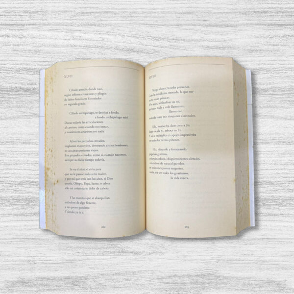CÉSAR VALLEJO. POESÍA COMPLETA - Imagen 2