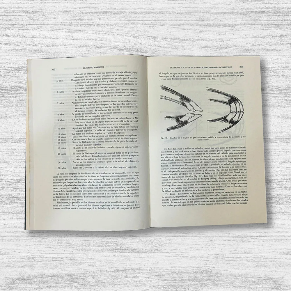 CIENCIA EN ARQUEOLOGÍA - Imagen 2