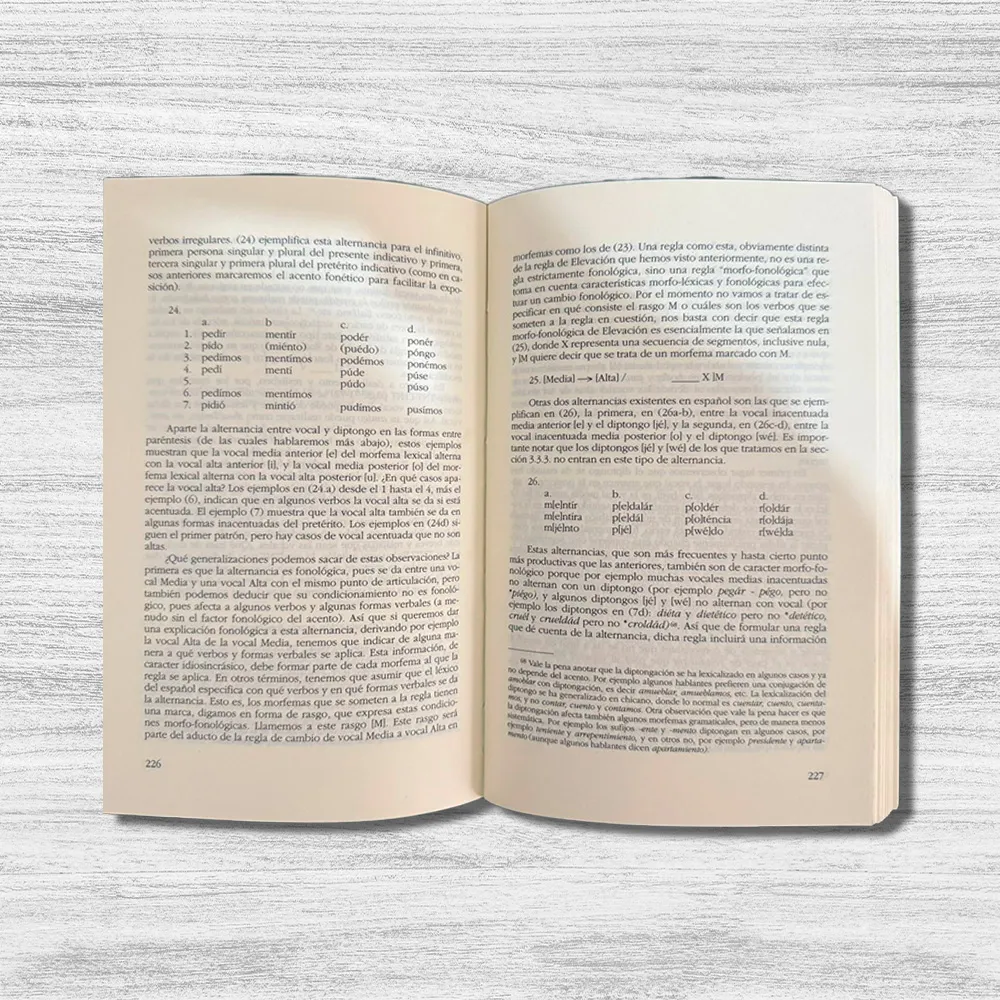 FONÉTICA Y FONOLOGÍA ACTUAL DEL ESPAÑOL - Imagen 2