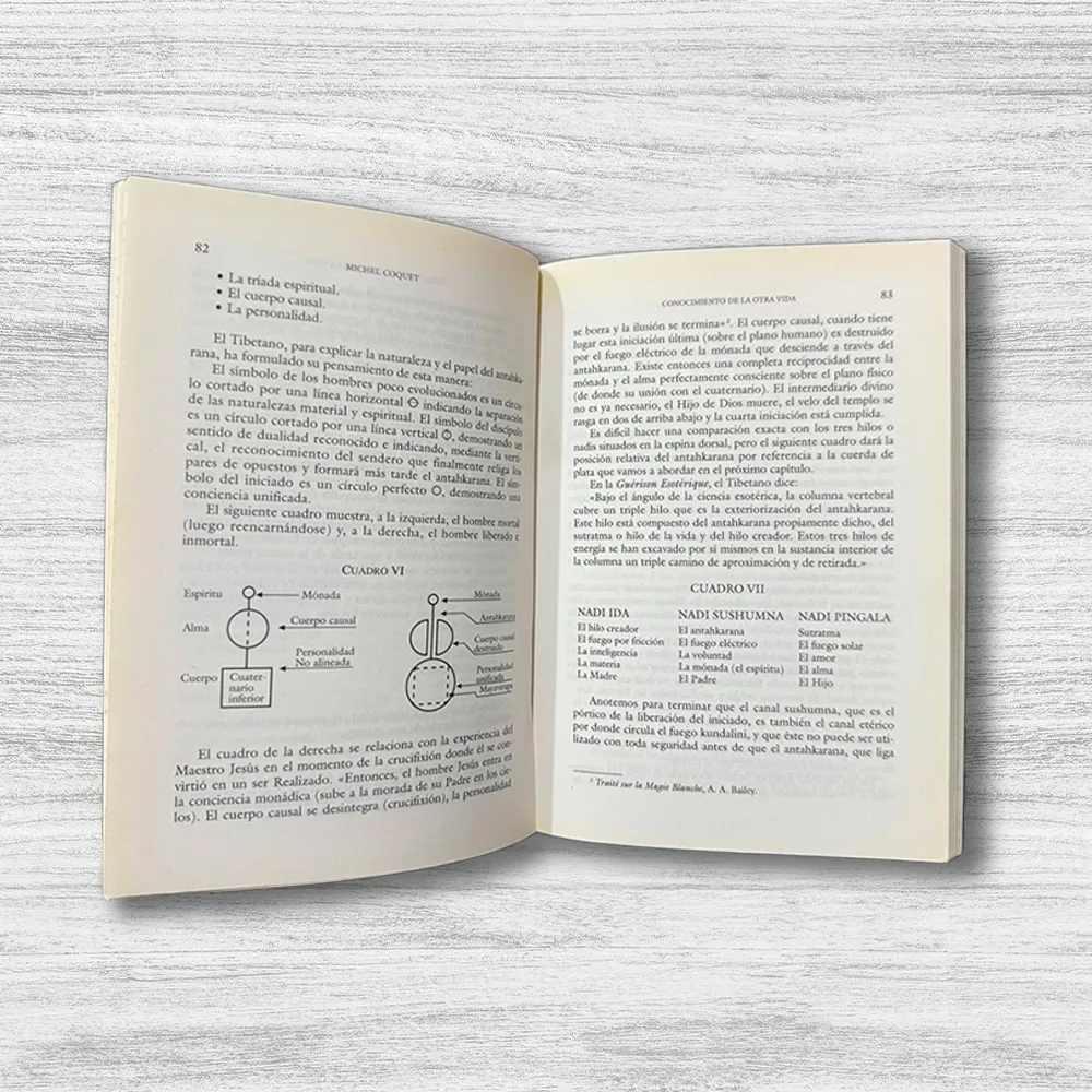 CONOCIMIENTO DE LA OTRA VIDA (SABER MORIR) - Imagen 2