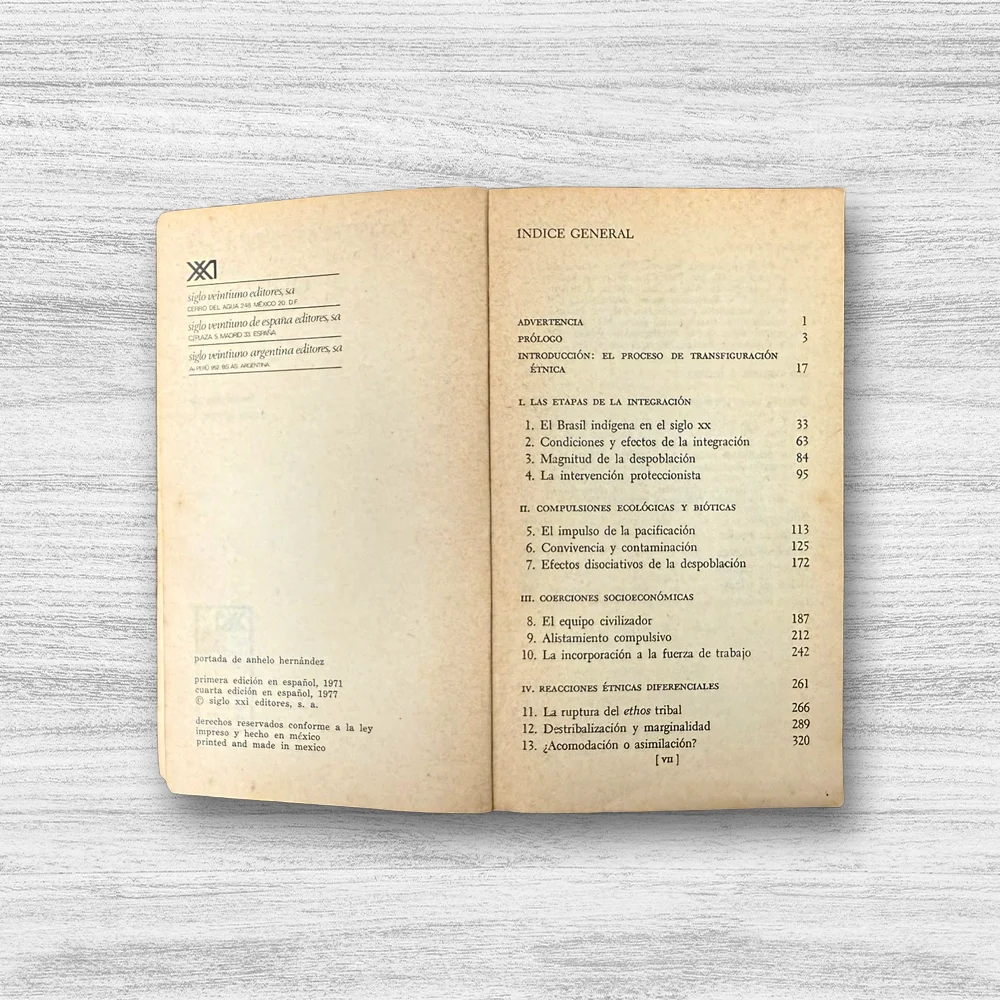 FRONTERAS INDÍGENAS DE LA CIVILIZACIÓN - Imagen 3