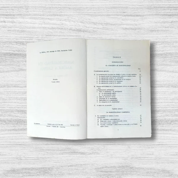 MARGINALIDAD EN AMÉRICA LATINA: UN ENSAYO DE DIAGNÓSTICO - Imagen 3