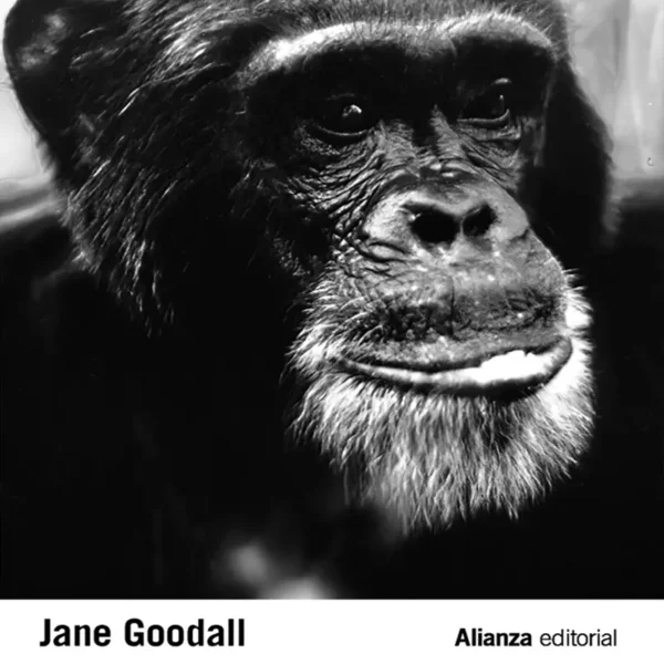 A LA SOMBRA DEL HOMBRE