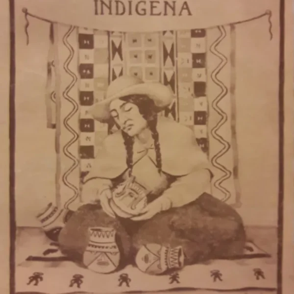 NUESTRA COMUNIDAD INDÍGENA