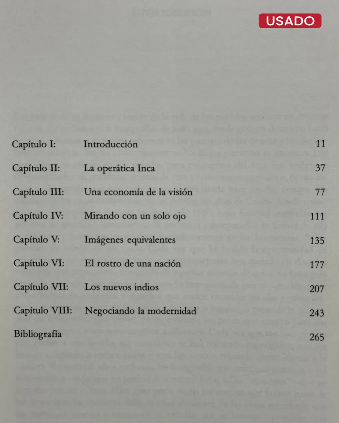 VISIÓN, RAZA Y MODERNIDAD. UNA ECONOMÍA VISUAL DEL MUNDO ANDINO DE IMÁGENES - Imagen 2