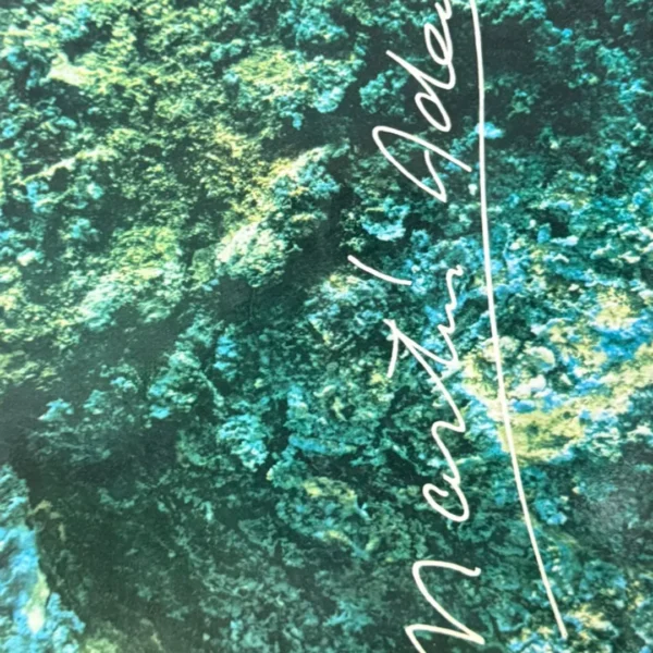 MARTÍN ADÁN: OBRA POÉTICA