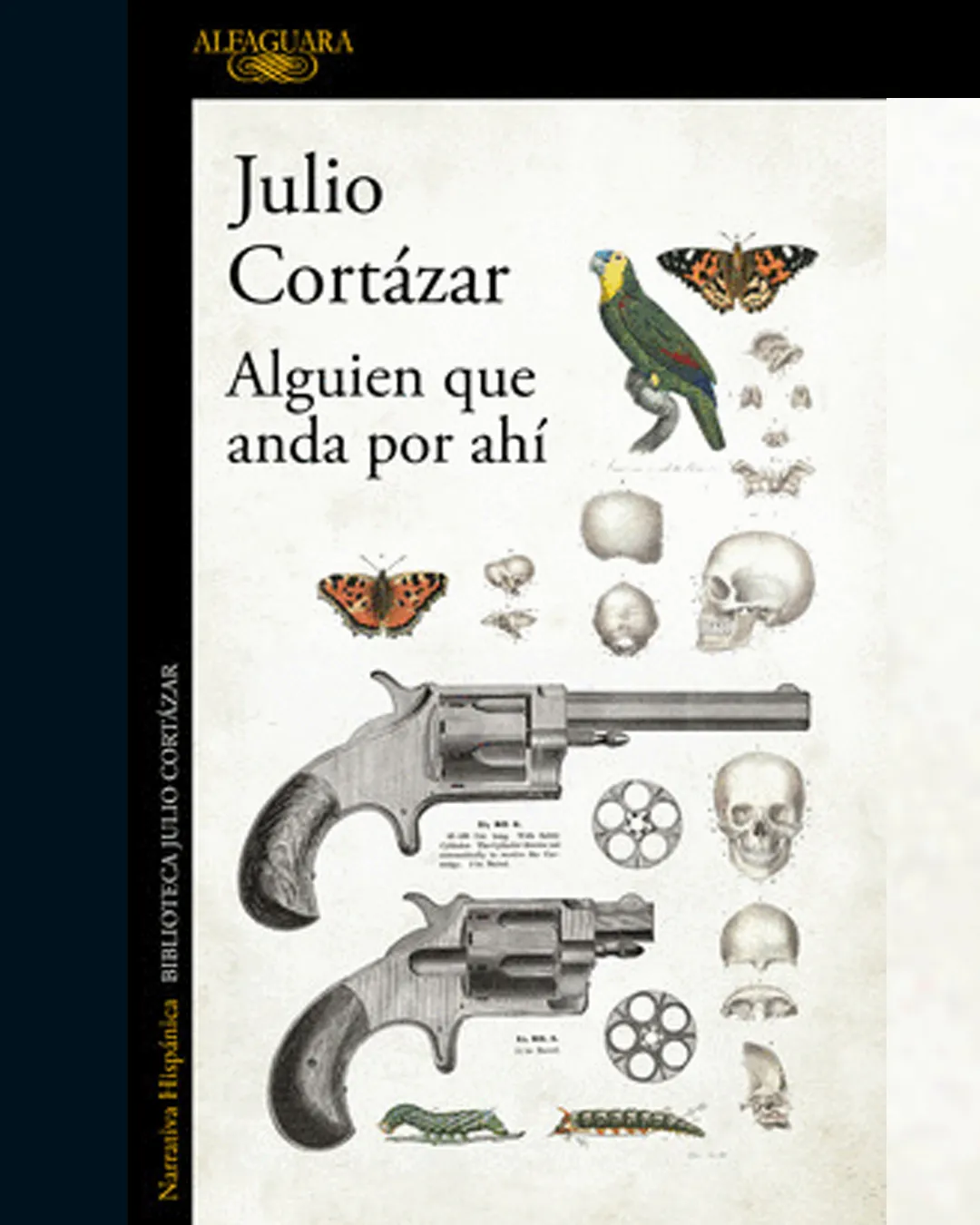 Alguien que anda por ahí