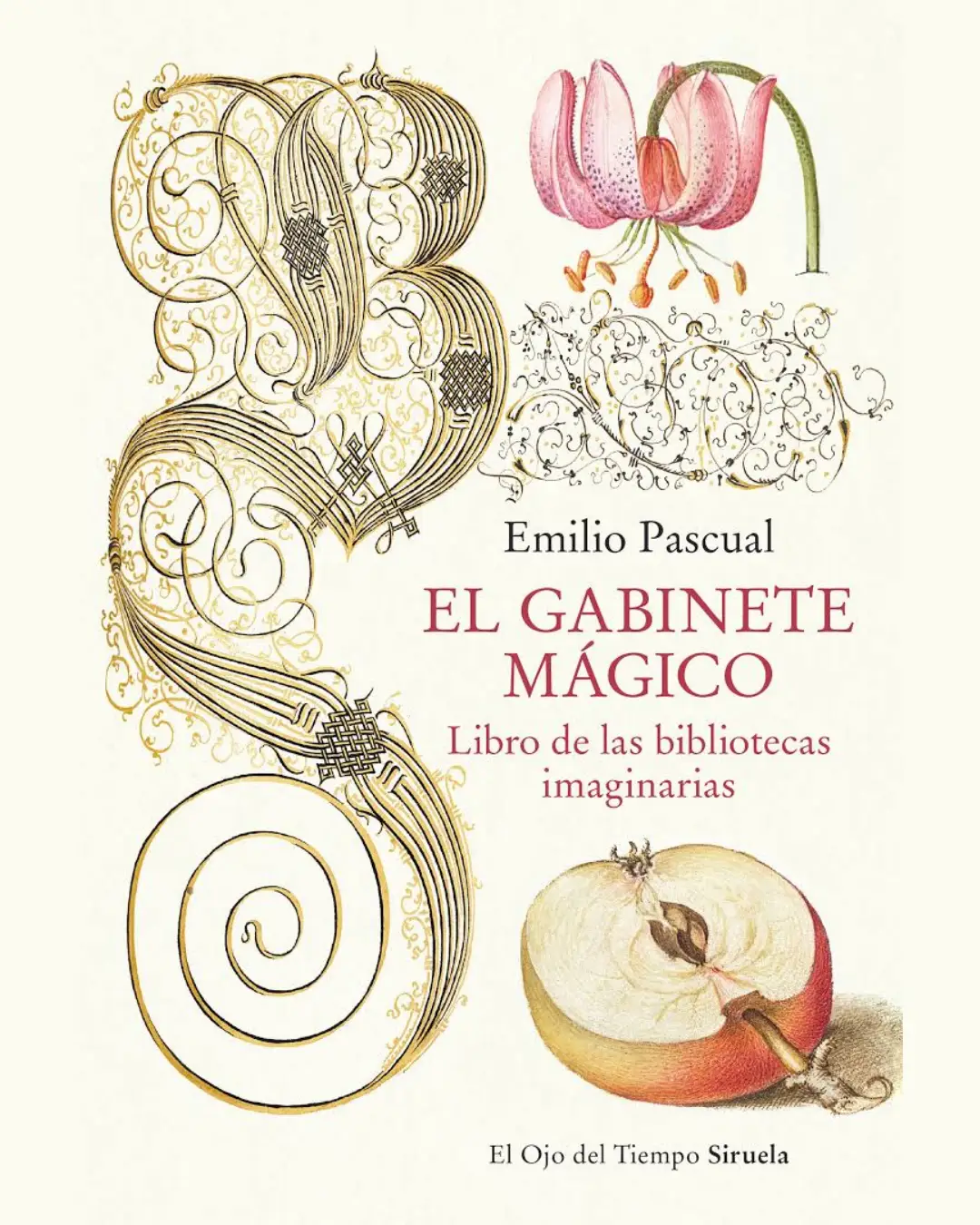 EL GABINETE MÁGICO: LIBRO DE LAS BIBLIOTECAS IMAGINARIAS