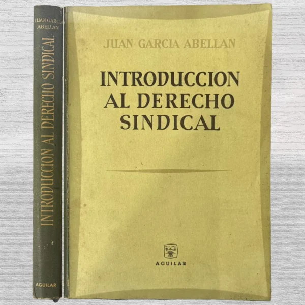 INTRODUCCIÓN AL DERECHO SINDICAL