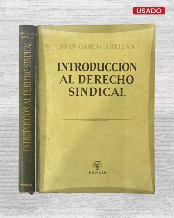 INTRODUCCIÓN AL DERECHO SINDICAL