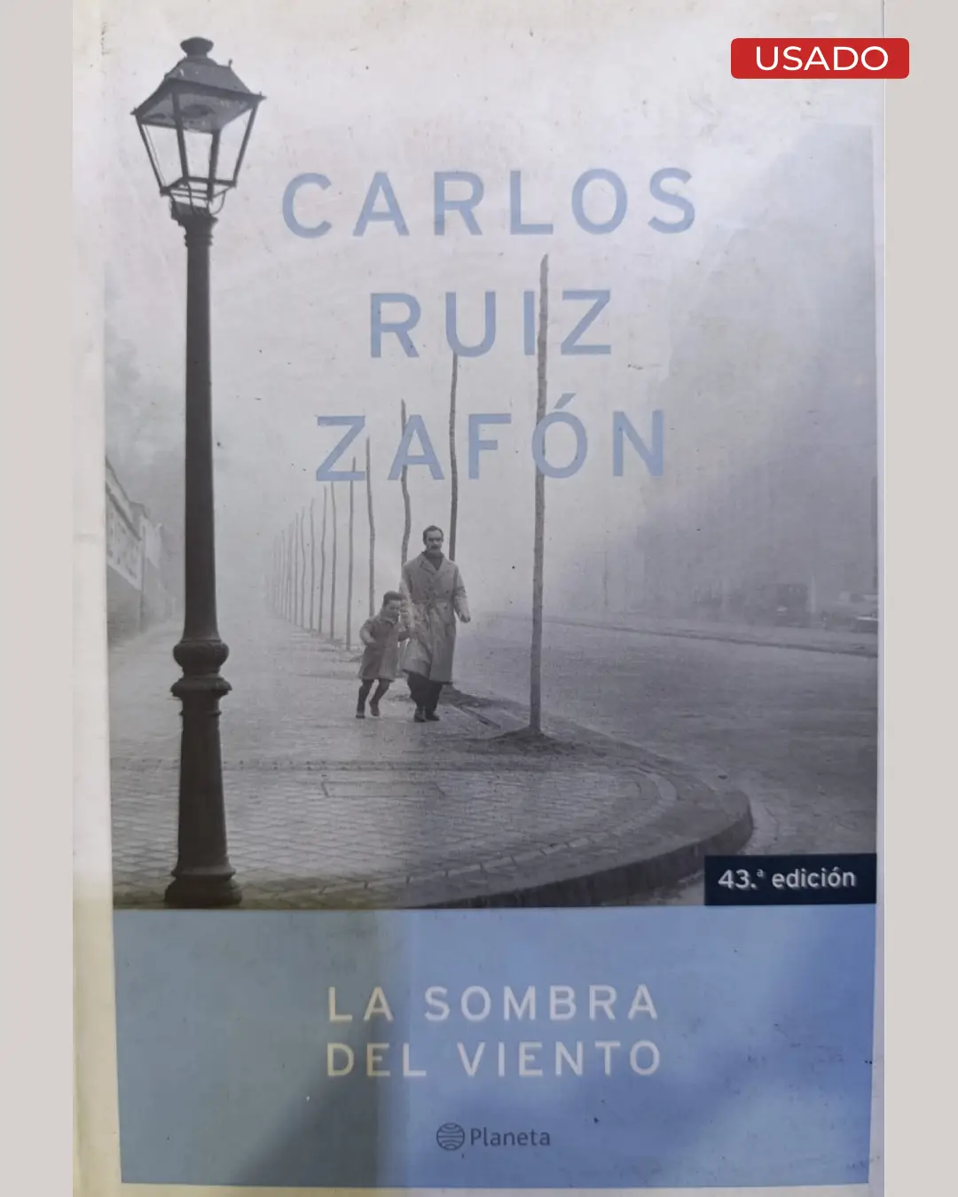 LA SOMBRA DEL VIENTO