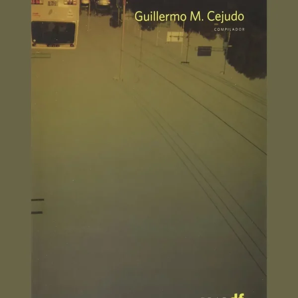 NUEVA GESTIÓN PÚBLICA