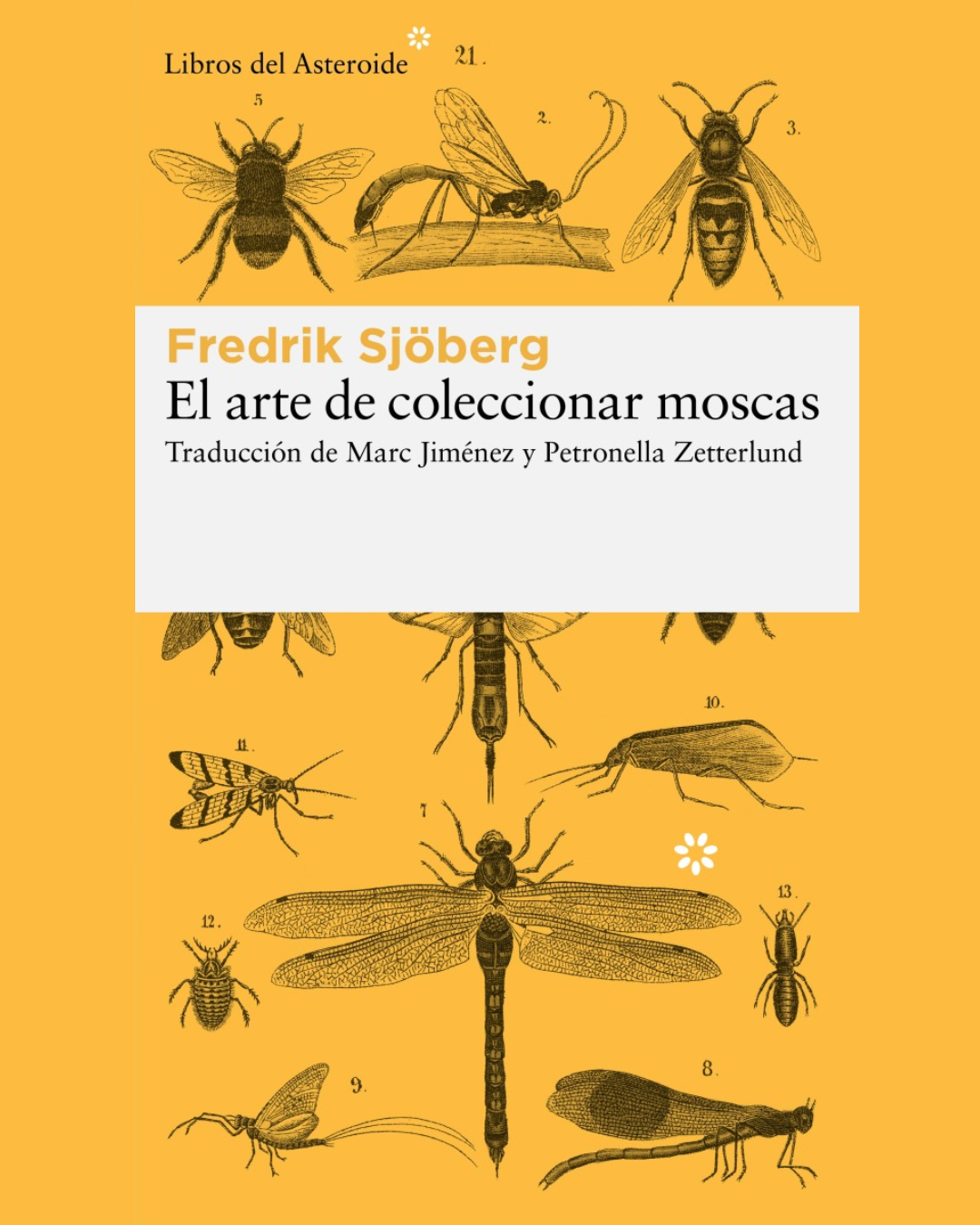 El arte de coleccionar moscas