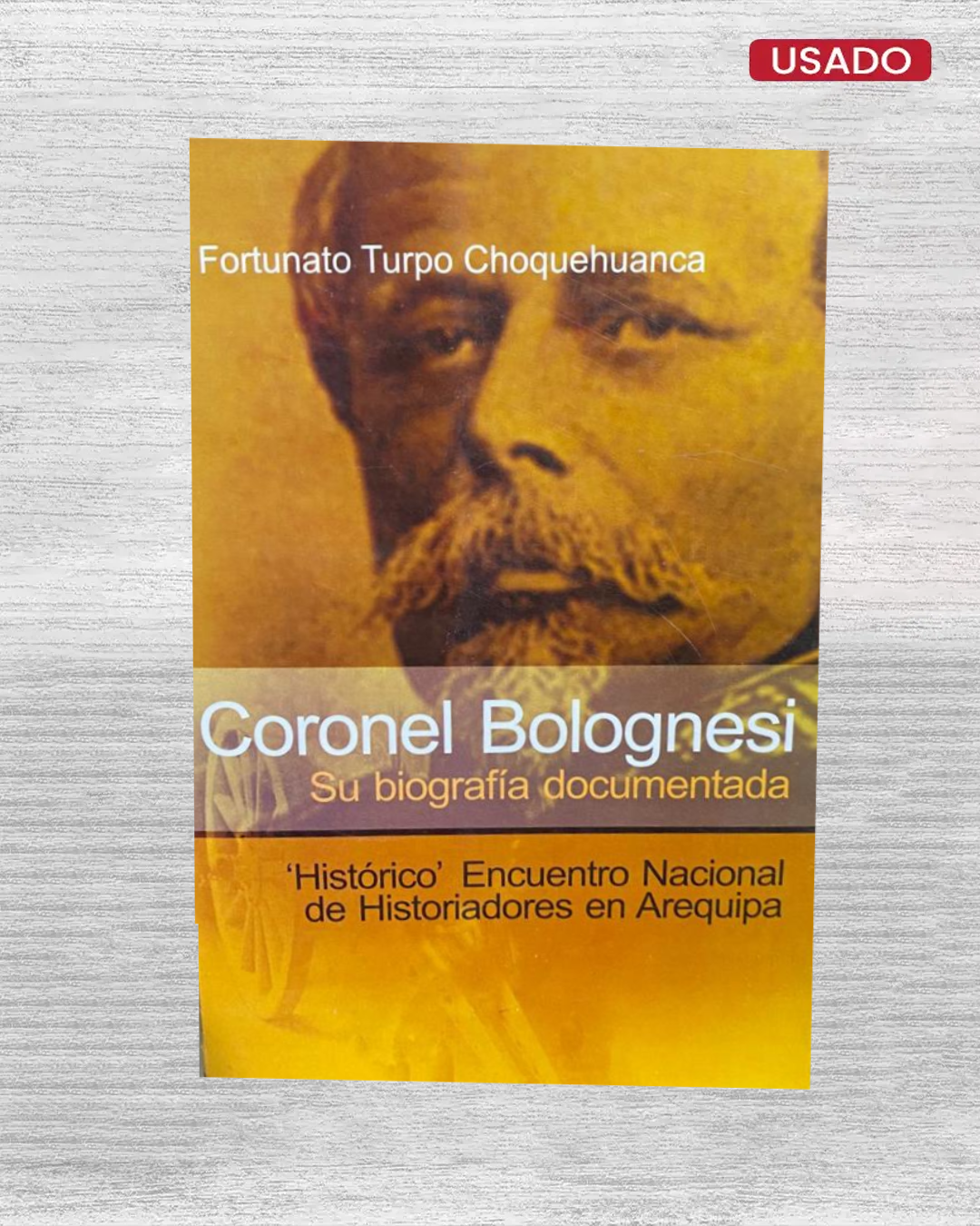 Coronel Bolognesi: Su biografía documentada