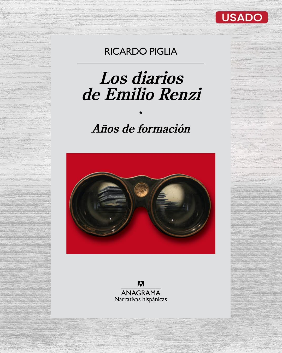 Los diarios de Emilio Renzi: Años de formación
