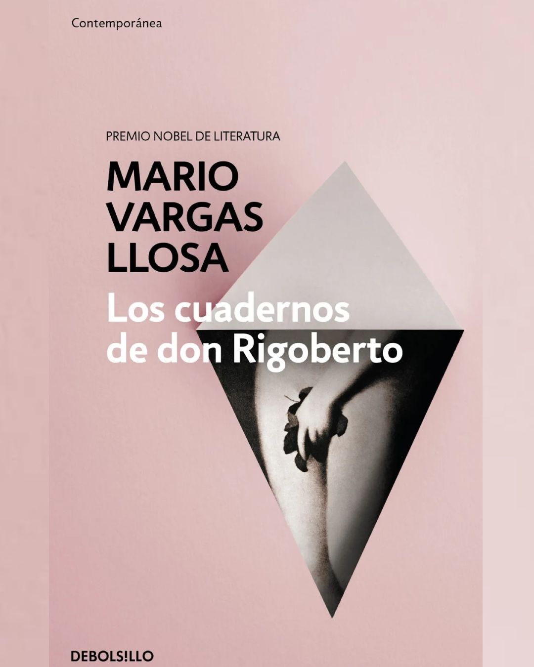 Los cuadernos de don Rigoberto