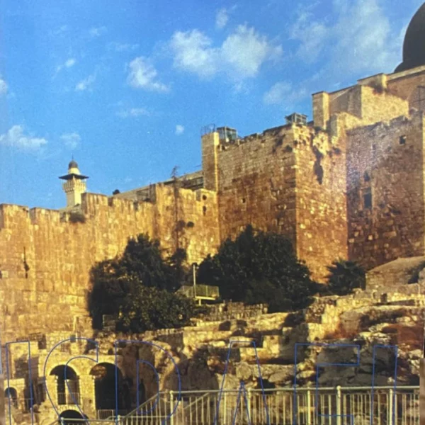 ISRAEL EN EL PLAN DE DIOS