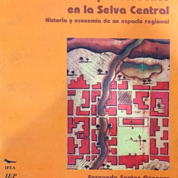 ORDENES Y DESÓRDENES EN LA SELVA CENTRAL. HISTORIA Y ECONOMÍA DE UN ESPACIO REGIONAL