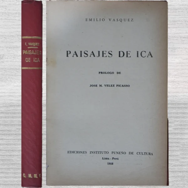 PAISAJES DE ICA