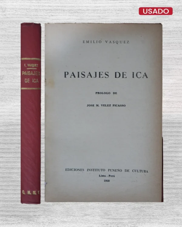 PAISAJES DE ICA