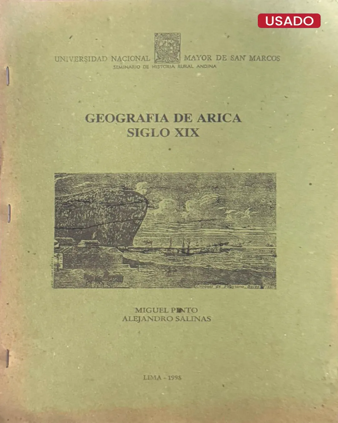 SEMINARIO DE HISTORIA RURAL ANDINA (UNMSM): GEOGRAFIA DE ARICA SIGLO XIX