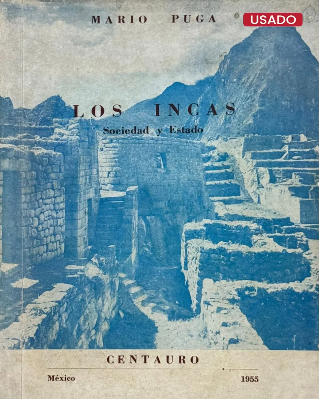 LOS INCAS: SOCIEDAD Y ESTADO