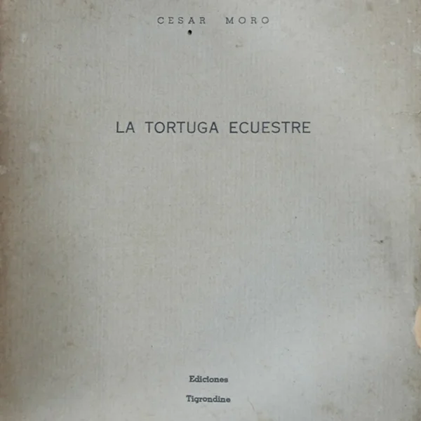 LA TORTUGA ECUESTRE