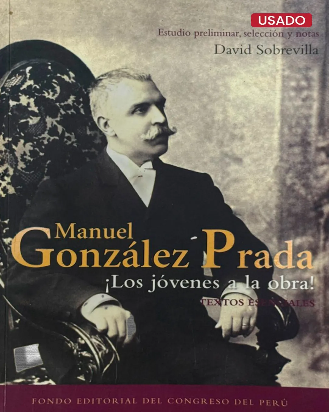 MANUEL GONZÁLEZ PRADA: LOS JÓVENES A LA OBRA! : TEXTOS ESENCIALES