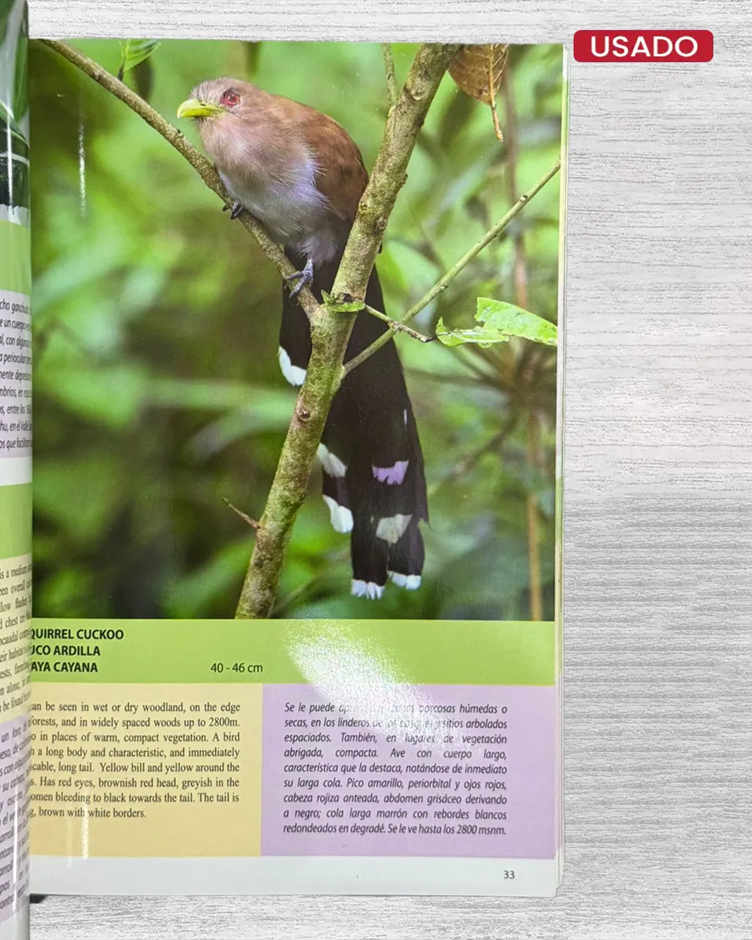 AVES DE CUSCO Y MACHU PICCHU - Imagen 2