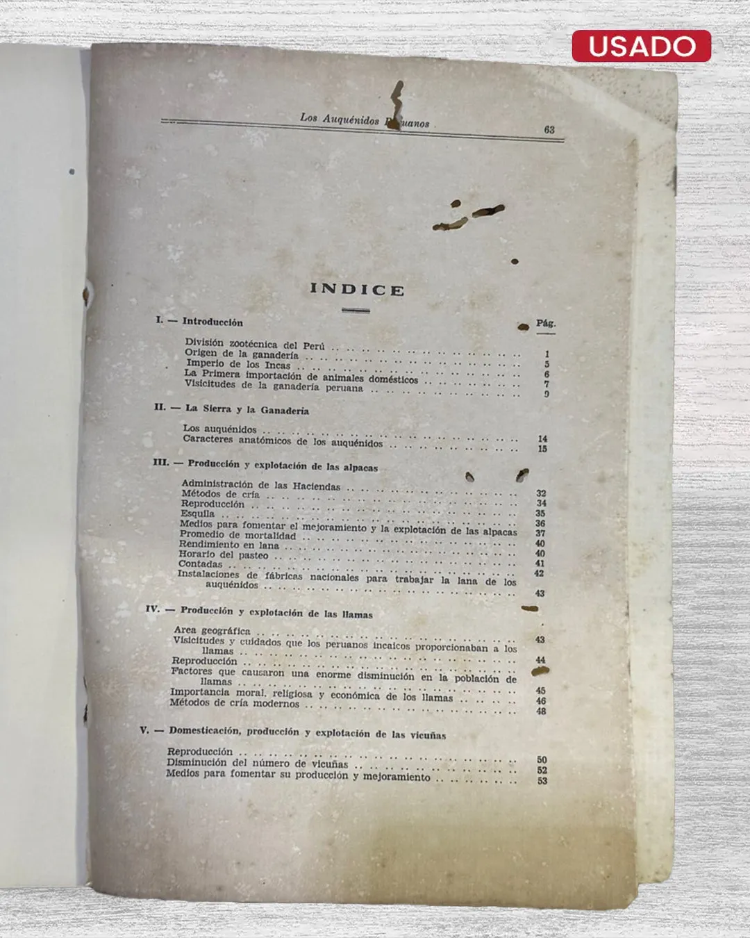 LOS AUQUENIDOS PERUANOS - Imagen 2