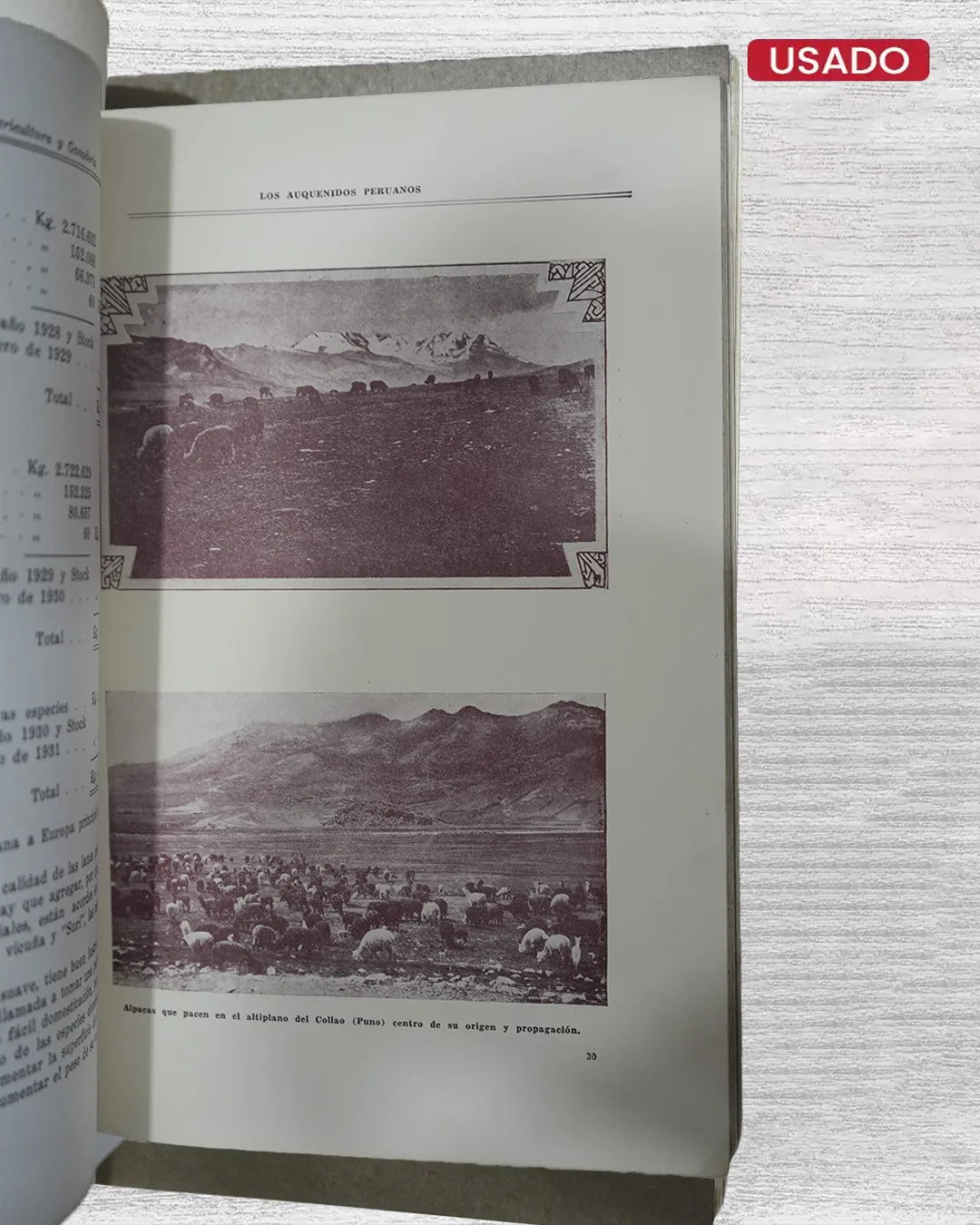 LOS AUQUENIDOS PERUANOS - Imagen 6