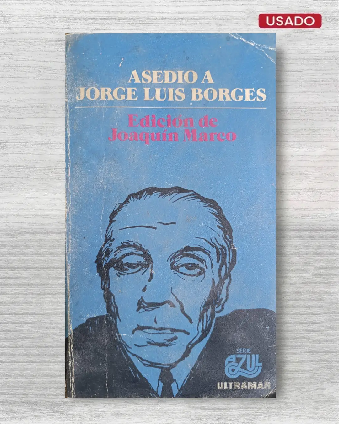 ASEDIO A JORGE LUIS BORGES