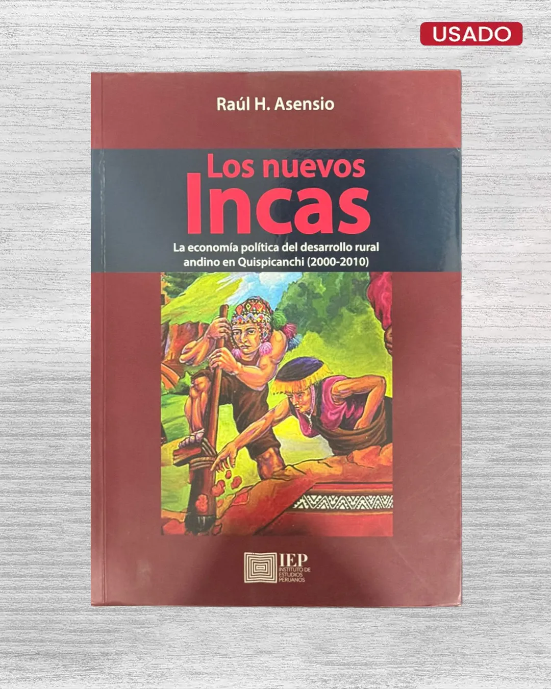 LOS NUEVOS INCAS: LA ECONOMÍA POLÍTICA DEL DESARROLLO RURAL ANDINO EN QUISPICANCHI (2000-2010)