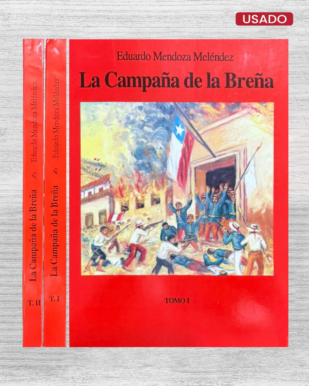 LA CAMPAÑA DE LA BREÑA