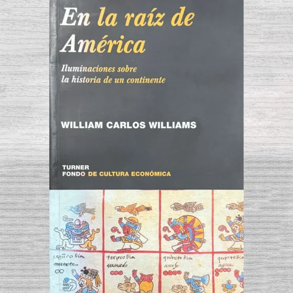 EN LA RAIZ DE AMERICA: ILUMINACIONES SOBRE LA HISTORIA DE UN CONTINENTE