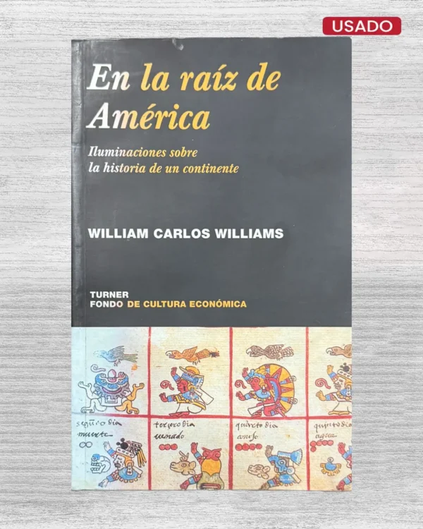 EN LA RAIZ DE AMERICA: ILUMINACIONES SOBRE LA HISTORIA DE UN CONTINENTE