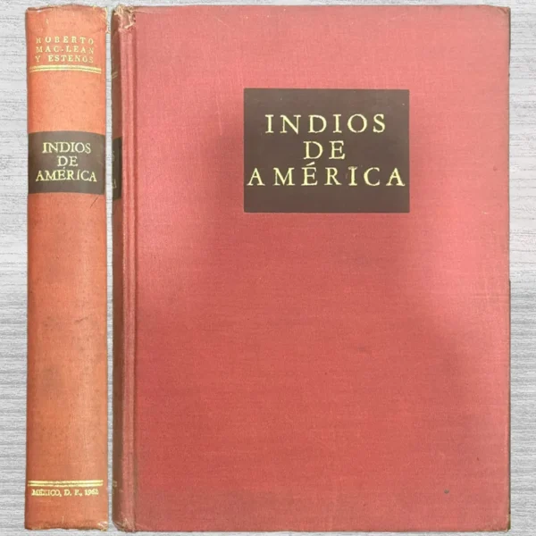 INDIOS DE AMÉRICA