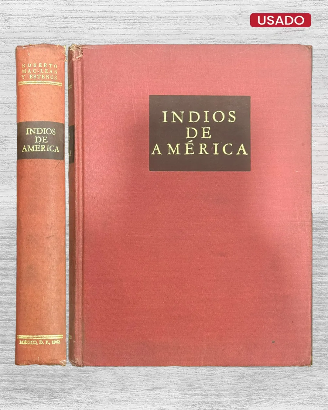 INDIOS DE AMÉRICA