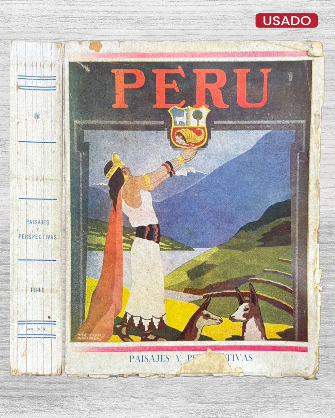 PERÚ: VISIONES Y PERSPECTIVAS