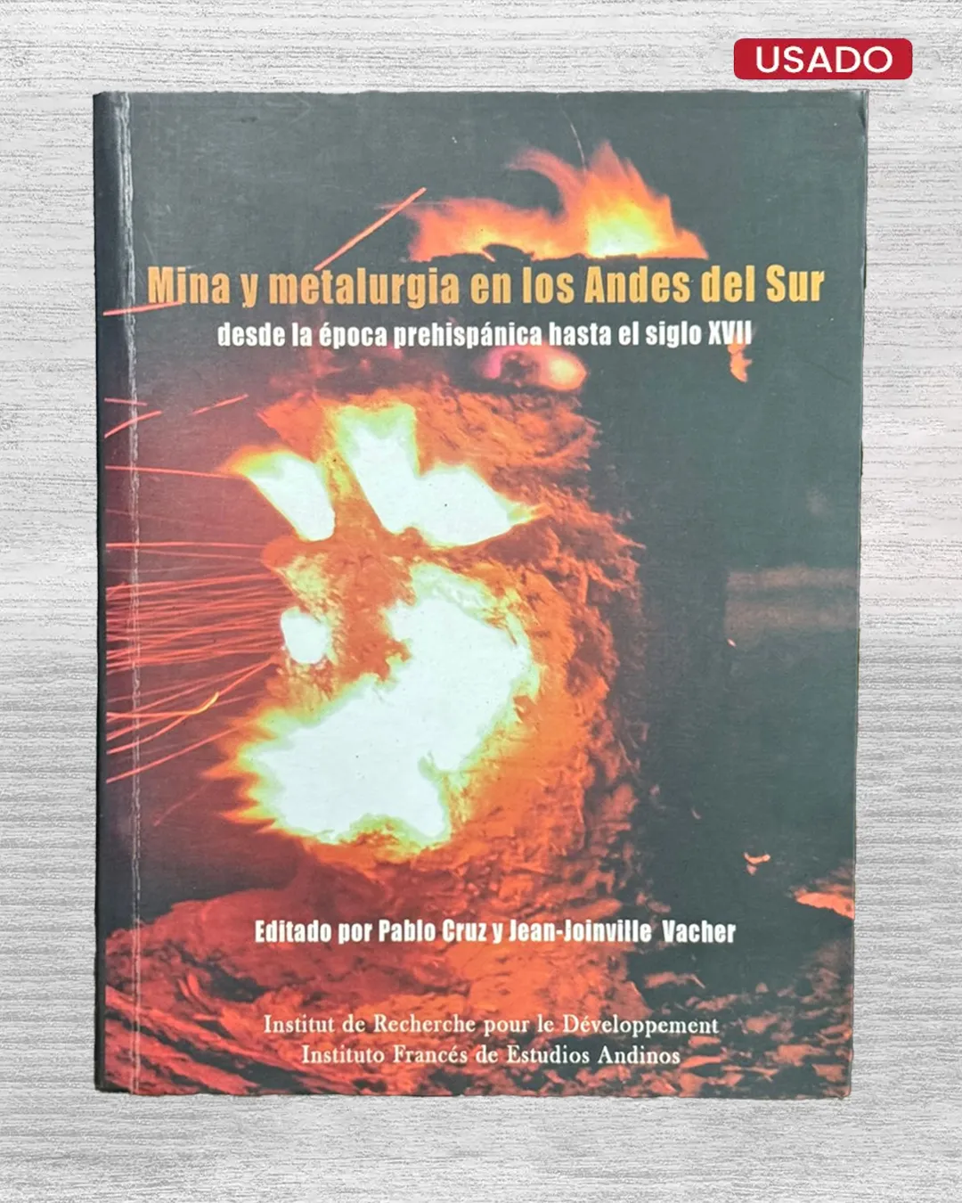 MINA Y METALURGIA EN LOS ANDES DEL SUR. DESDE LA ÉPOCA PREHISPÁNICA HASTA EL SIGLO XVII