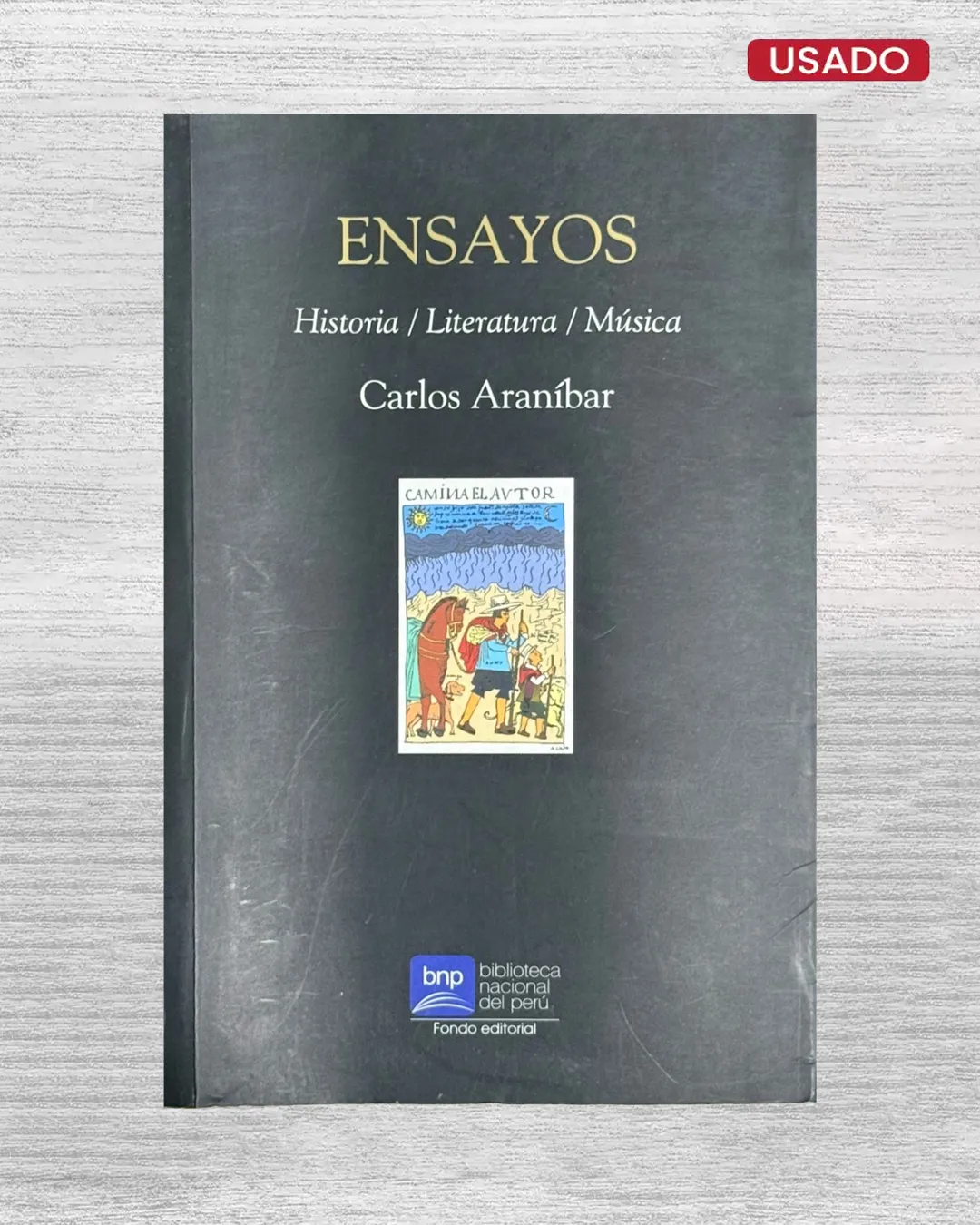 ENSAYOS: HISTORIA /LITERATURA / MÚSICA