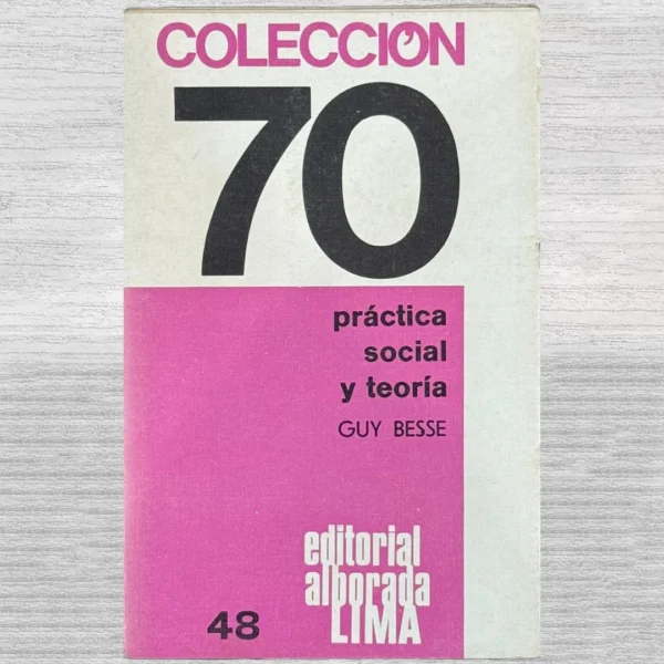 PRÁCTICA SOCIAL Y TEORÍA