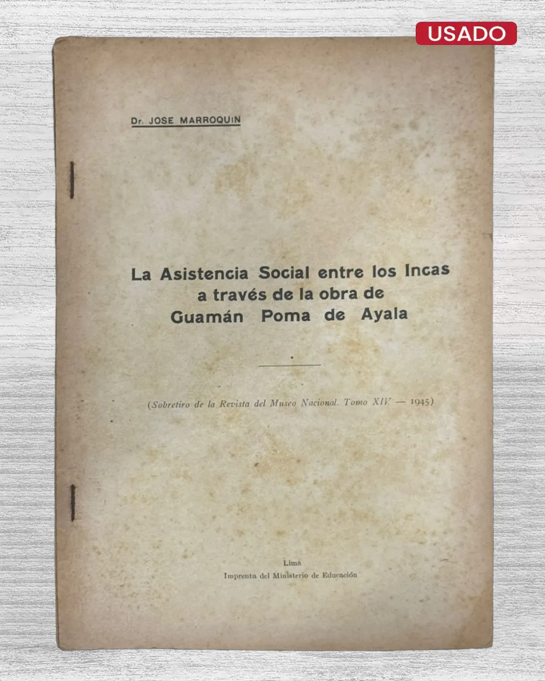 LA ASISTENCIA SOCIAL ENTRE LOS INCAS A TRAVÉS DE LA OBRA DE GUAMÁN POMA DE AYALA