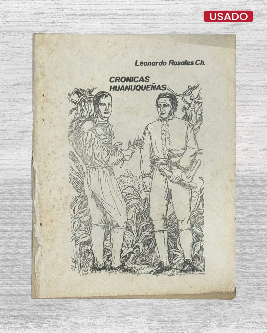 CRONICAS HUANUQUEÑAS