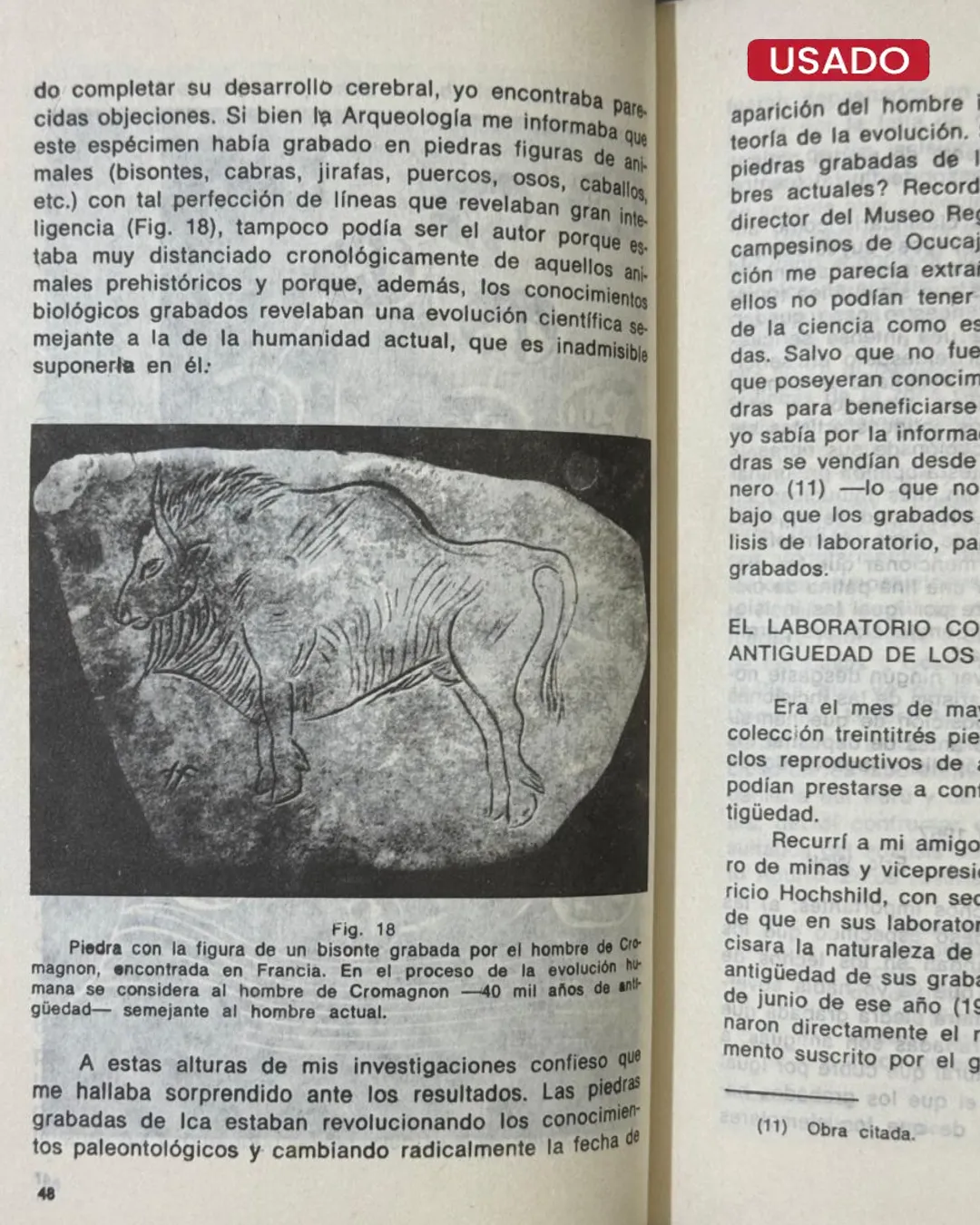 EL MENSAJE DE LAS PIEDRAS GRABADAS DE ICA - Imagen 3