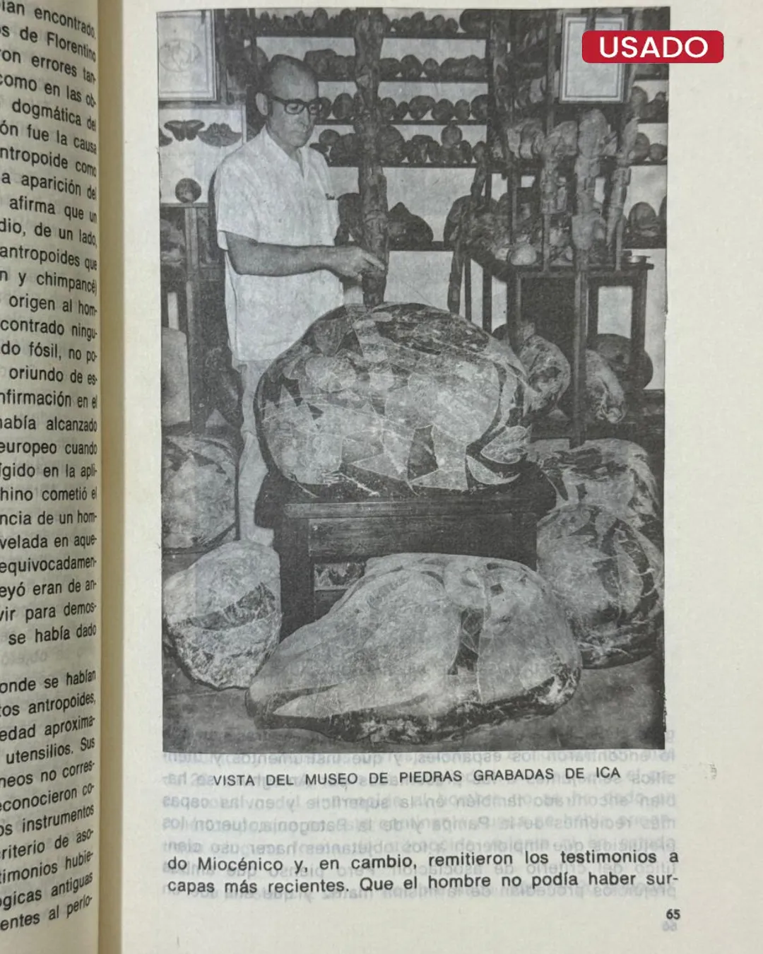EL MENSAJE DE LAS PIEDRAS GRABADAS DE ICA - Imagen 2
