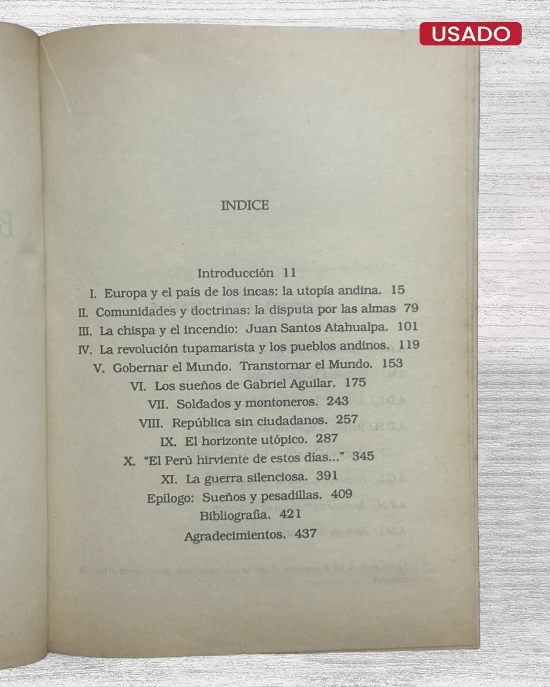 BUSCANDO UN INCA - Imagen 2