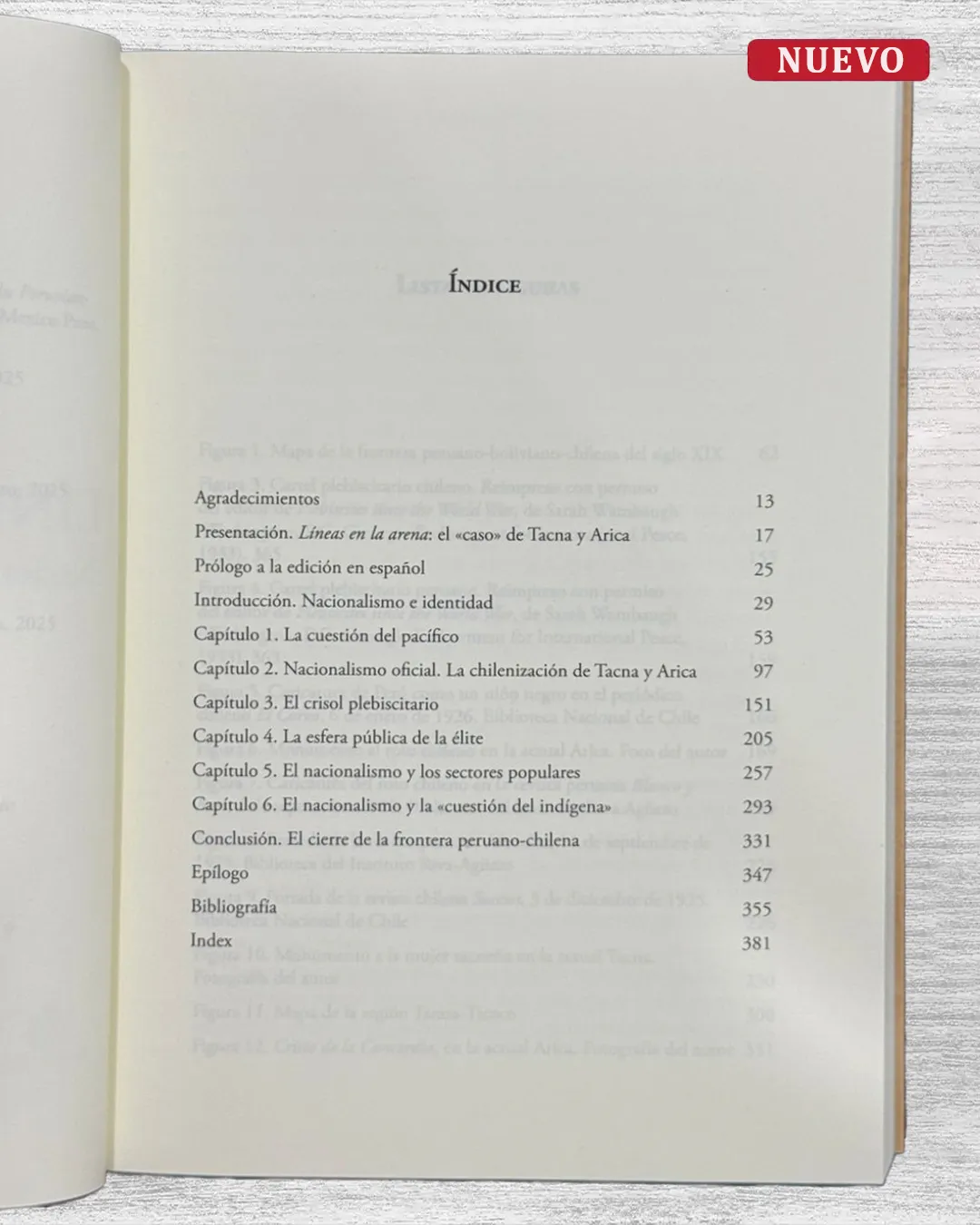 LÍNEAS EN LA ARENA. NACIONALISMO E IDENTIDAD EN LA FRONTERA PERUANO-CHILENA - Imagen 2